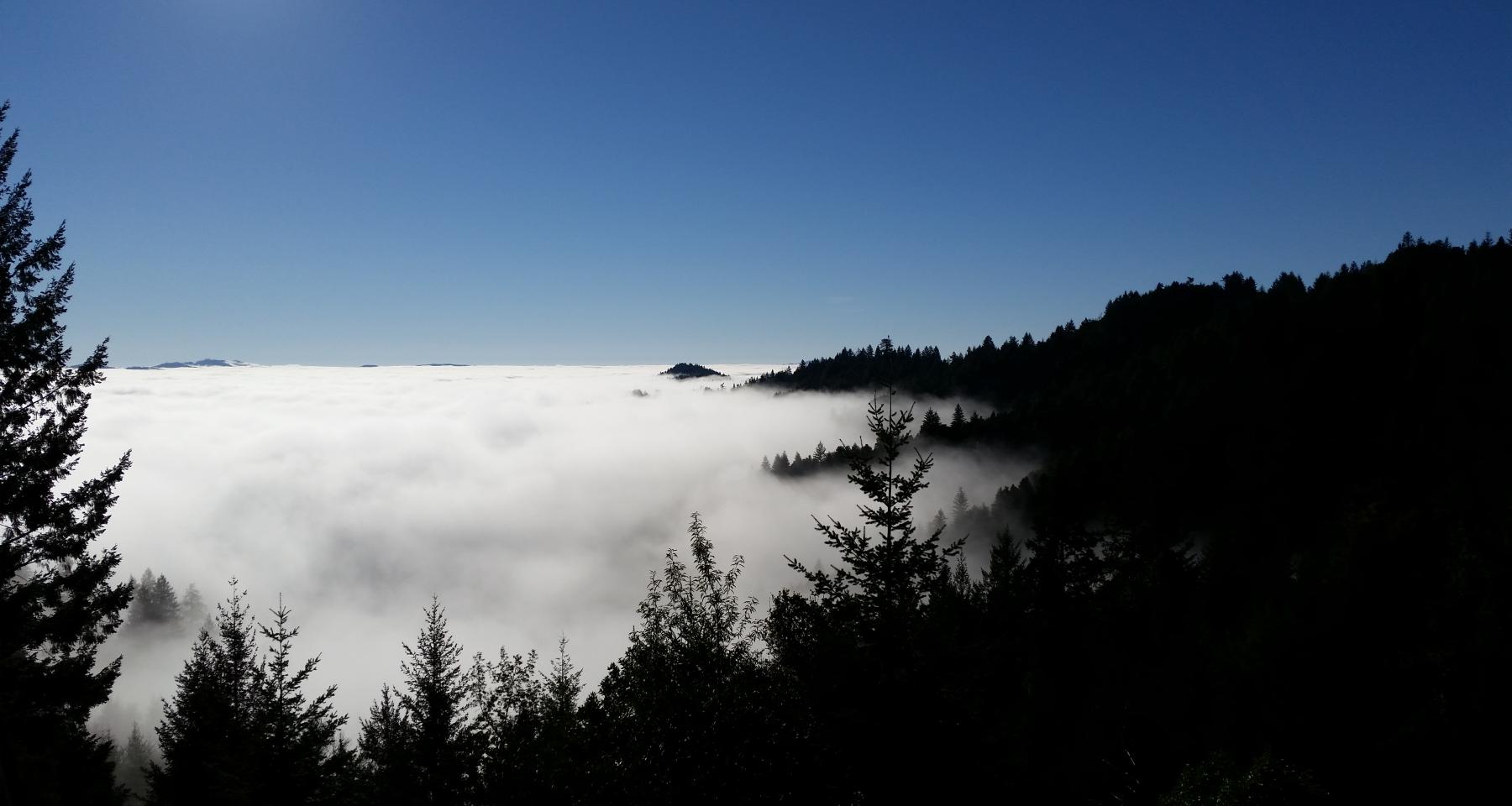 Fog through mountains